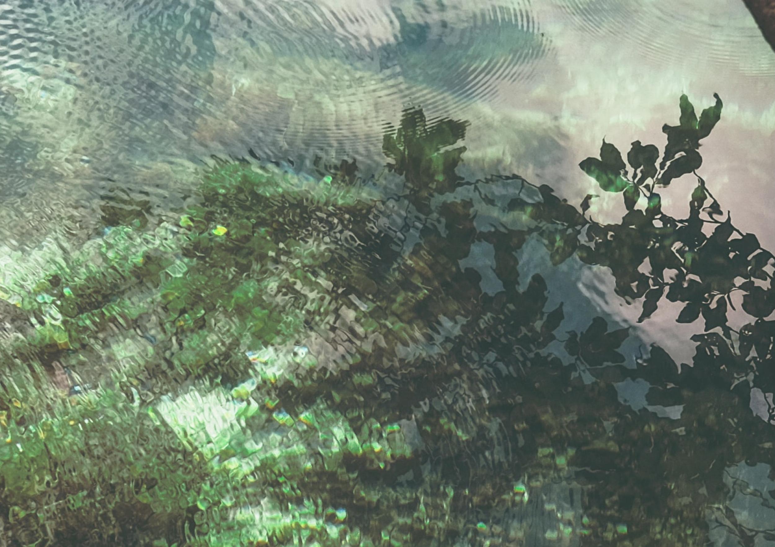 banner1